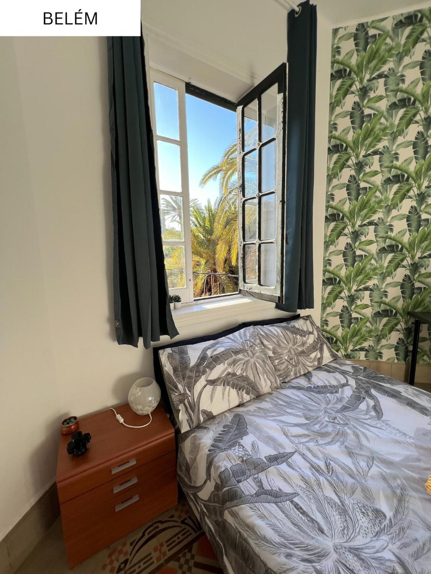 Coliving Brasil Guest house